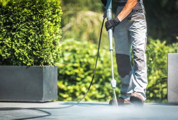 Best Graffiti Removal  in Glen Ellyn, IL